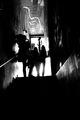 Festival fotog&hellip;