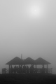Varljivo sunce