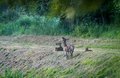 Imaš dobar par&hellip;