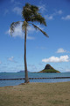 Chinaman'&hellip;