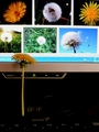 Chat s net fre&hellip;
