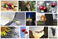 9 fotozinovski&hellip;