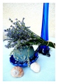 Lavanda na ter&hellip;