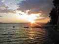 Selce u predv&hellip;