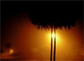 Sjene u noći..&hellip;