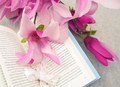 Vrijeme magnol&hellip;