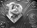 Time of memori&hellip;