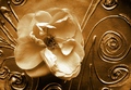 Time of memori&hellip;