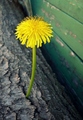 Posljednji mas&hellip;