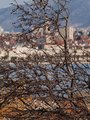fobija (2)