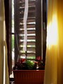 sunce na prozo&hellip;