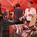 živi saruni-šn&hellip;