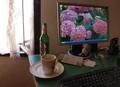 pogled kroz dv&hellip;