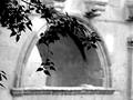grana pelegrin&hellip;