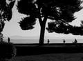 pod starim bor&hellip;