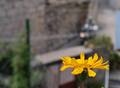 pogled s balko&hellip;