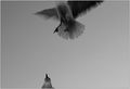 "dopija&q&hellip;