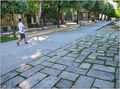 prečicom kroz &hellip;