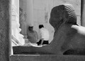 Oprez gleda va&hellip;