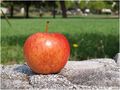 An apple a day&hellip;