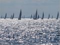 Viška regata /&hellip;