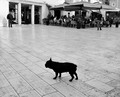 Sve moje jesen&hellip;
