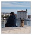 svako u svojim&hellip;