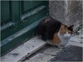 nije svaki pra&hellip;