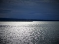 more naše plav&hellip;