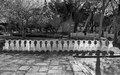 21 (crno) bije&hellip;