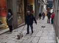 šaptač p(a)sim&hellip;