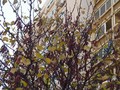 lišće žuti...&hellip;