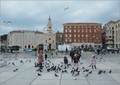 galebi,golubi &hellip;