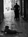 ispraćen pogle&hellip;
