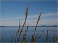 pogled s Marja&hellip;
