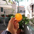 korodirati ili&hellip;