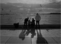 sunce i galebo&hellip;