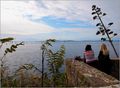 dobar pogled n&hellip;