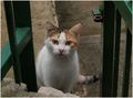 jedna varoška &hellip;