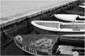 Stara garda s &hellip;