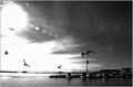 pogled u sunce&hellip;