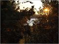 pogled u sunce&hellip;