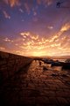 Road of Gold