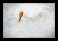 Reaching for a&hellip;