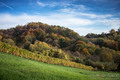 Moslavina oboj&hellip;