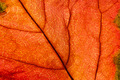 colourful list&hellip;