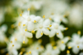blurry...dream&hellip;