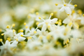blurry...dream&hellip;