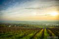 Moslavina na d&hellip;