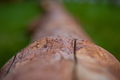 ograda...zblur&hellip;